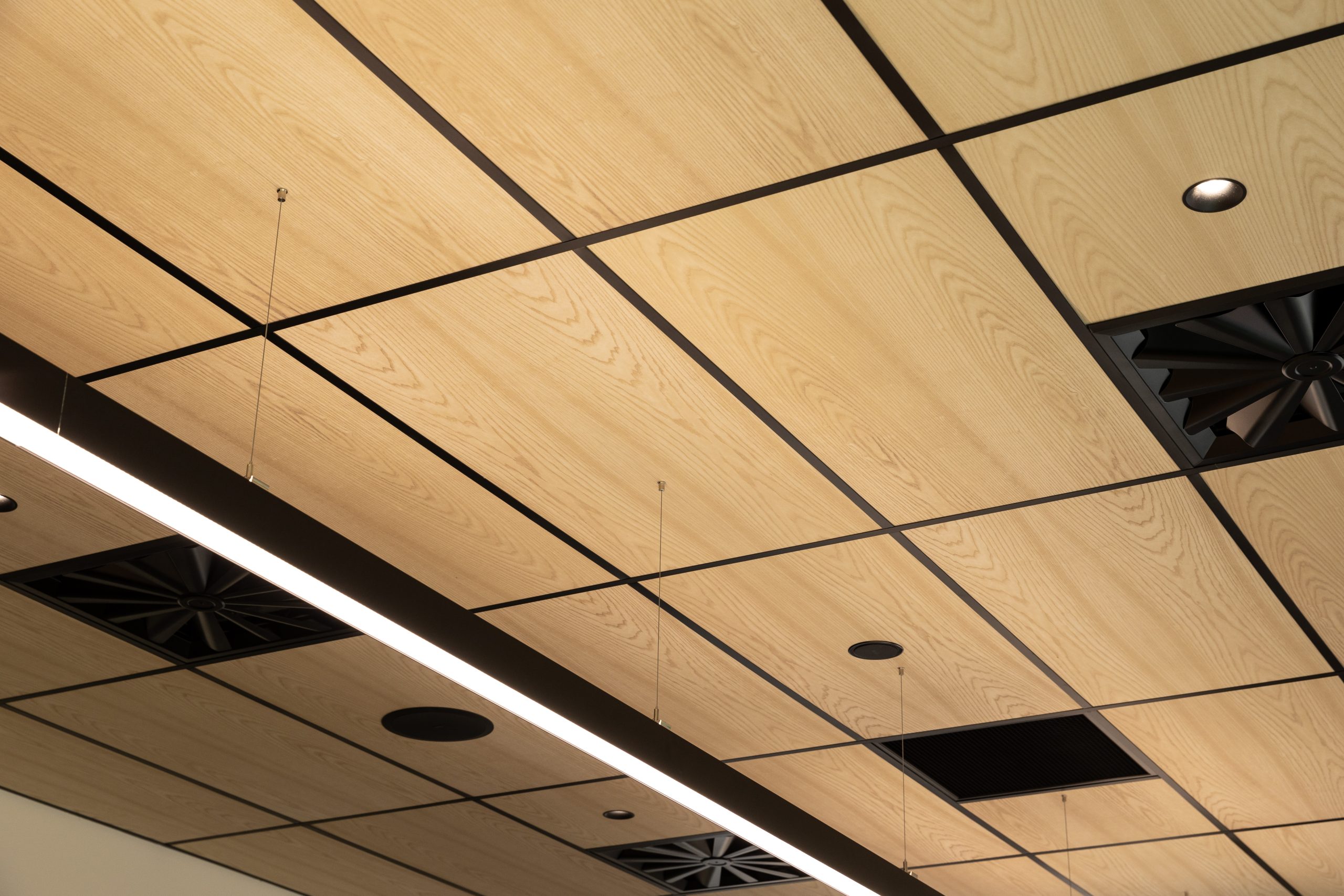 Acoustic Timber For Ceiling And Walls